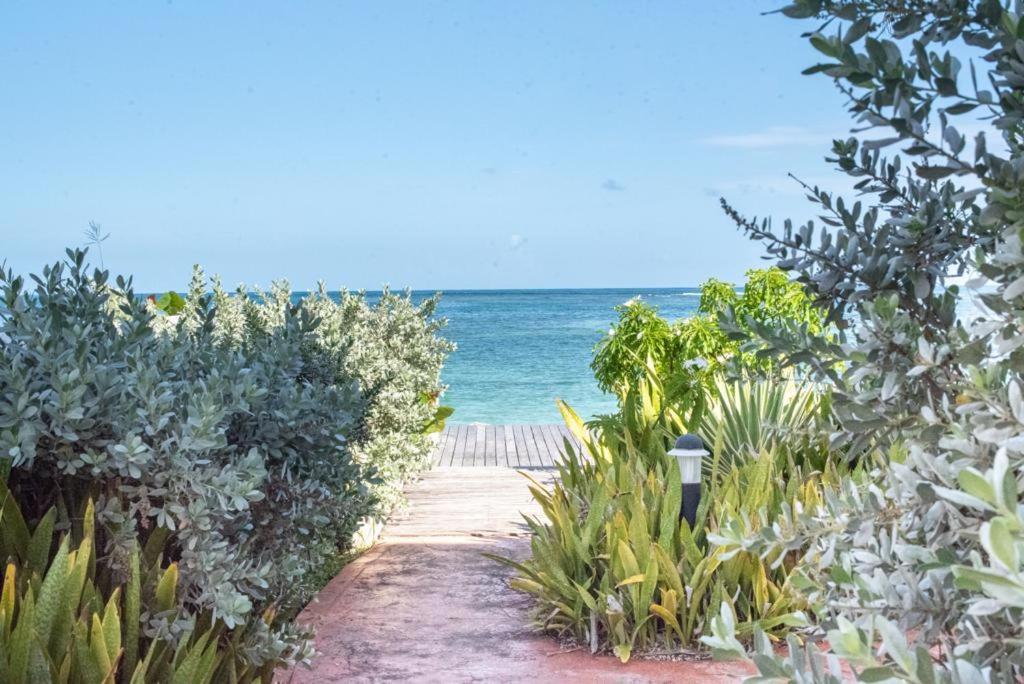 Pasha - Ocean View Apartment Сен-Ан Екстериор снимка